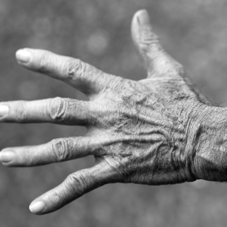 hand-351277_1280